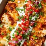 Red and Green Chicken Enchiladas Recipe