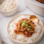 Slow Cooker Teriyaki Chicken Recipe