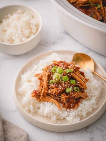 Slow Cooker Teriyaki Chicken Recipe