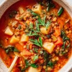 High Protein Lentil and Vegetable Soup Recipe
