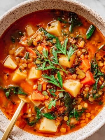 High Protein Lentil and Vegetable Soup Recipe