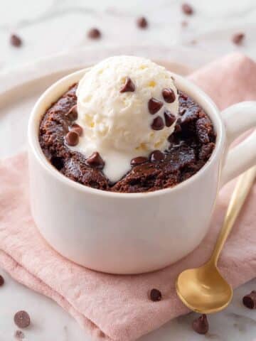 Microwave Mug Brownie with Chocolate Chips Recipe
