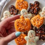 Homemade Halloween Frosted Animal Cookies Recipe