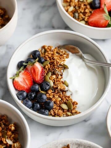 Homemade Yogurt Recipe