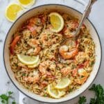 One Pot Garlic Butter Shrimp and Orzo Recipe