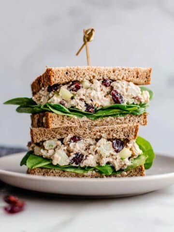 Chicken Salad with Apples Recipe
